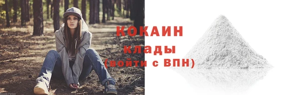 дурь Арсеньев