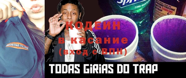 дурь Арсеньев
